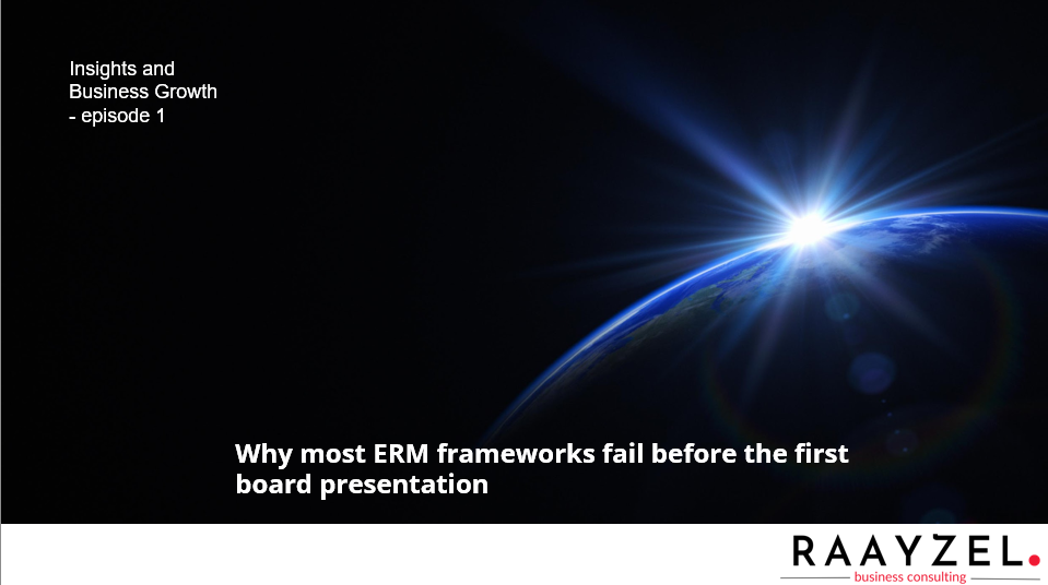 Raayzel Business Consulting blog post on ERM framework design for CFOs